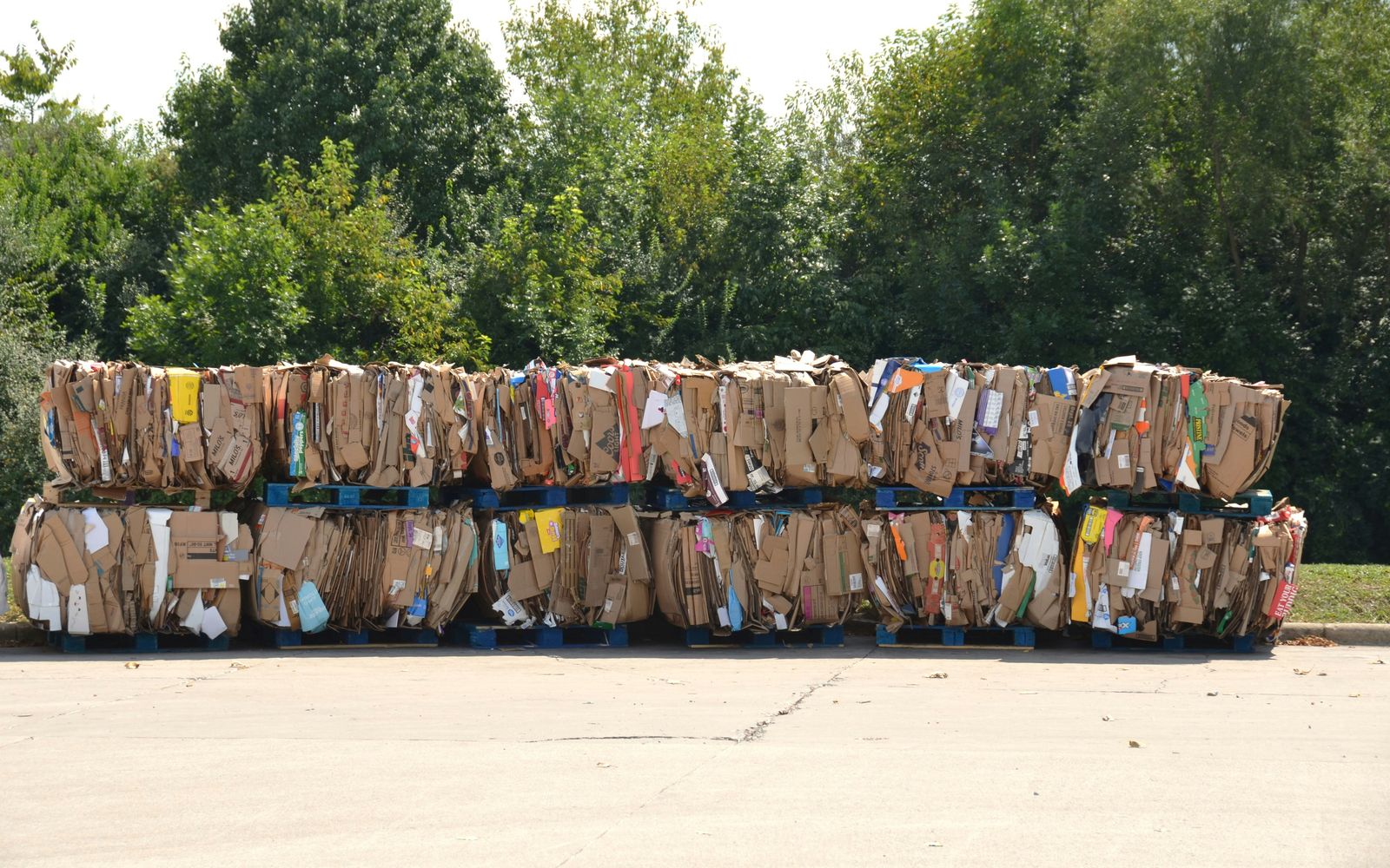 Baloți de carton presat, stivuiți pe paleți, pregătiți pentru reciclare